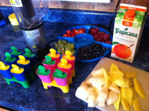 Gibsons 3 -august 17th 626